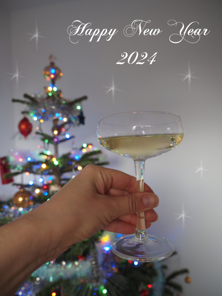 New Year's toast with my Christmas tree